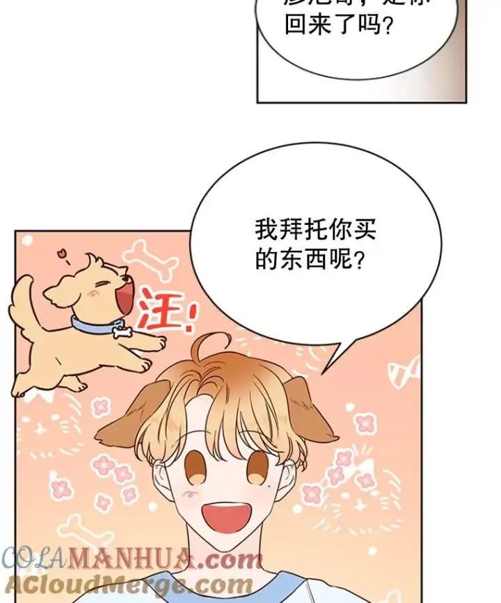 《丈夫候选人》40.不速之客图40