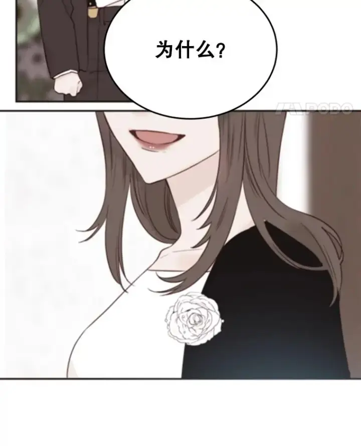 《丈夫候选人》41.又一个订婚对象图18