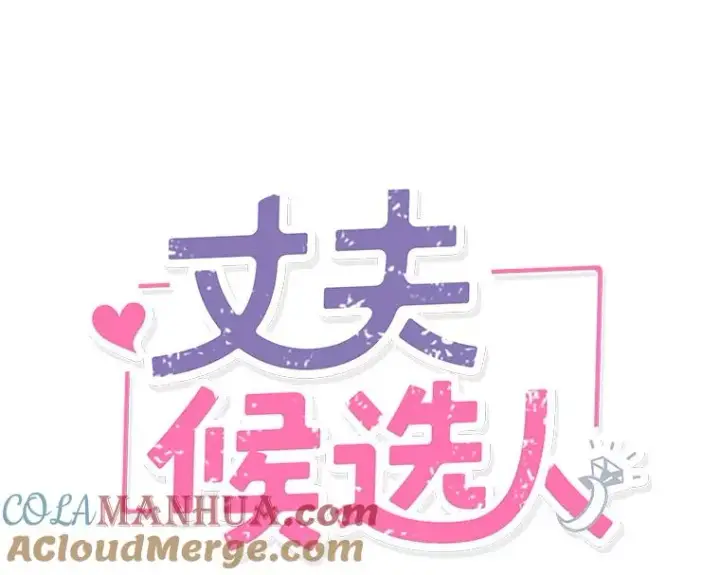 《丈夫候选人》41.又一个订婚对象图22