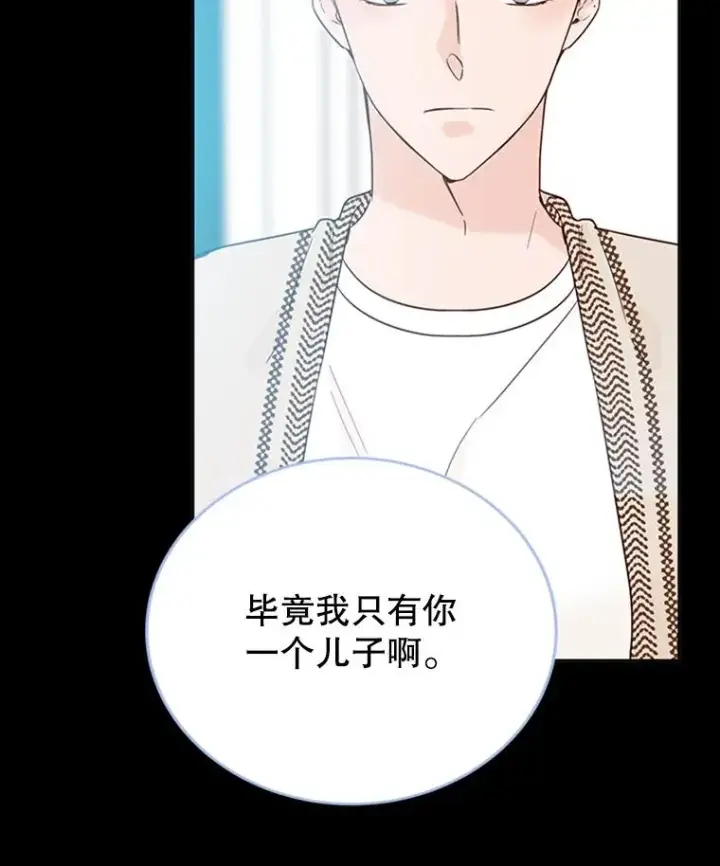 《丈夫候选人》41.又一个订婚对象图39