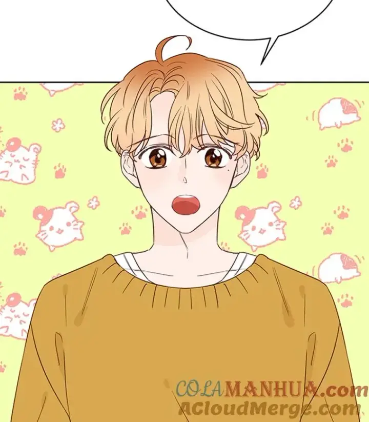 《丈夫候选人》41.又一个订婚对象图55