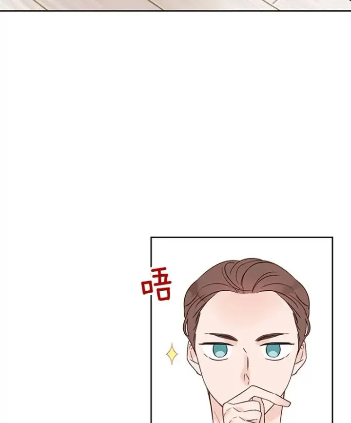 《丈夫候选人》41.又一个订婚对象图77