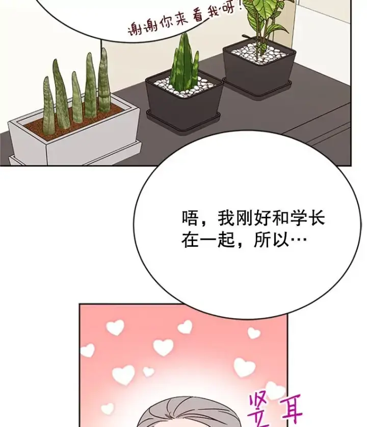 《丈夫候选人》43.医院偶遇李曼茵图14