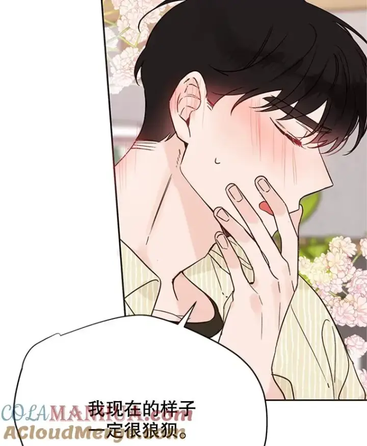 《丈夫候选人》48.双向告白图49