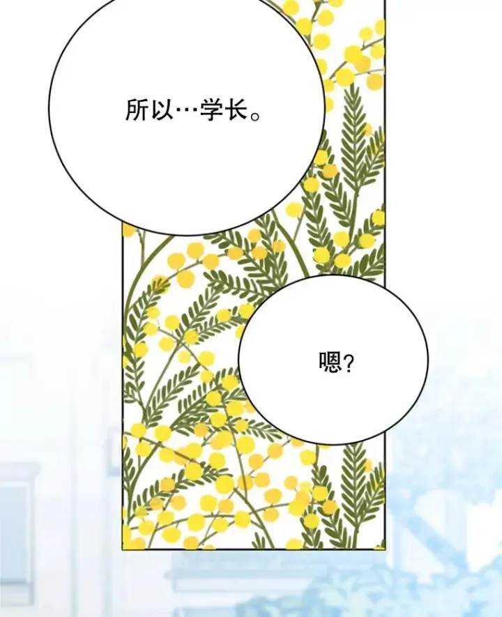 《丈夫候选人》48.双向告白图96