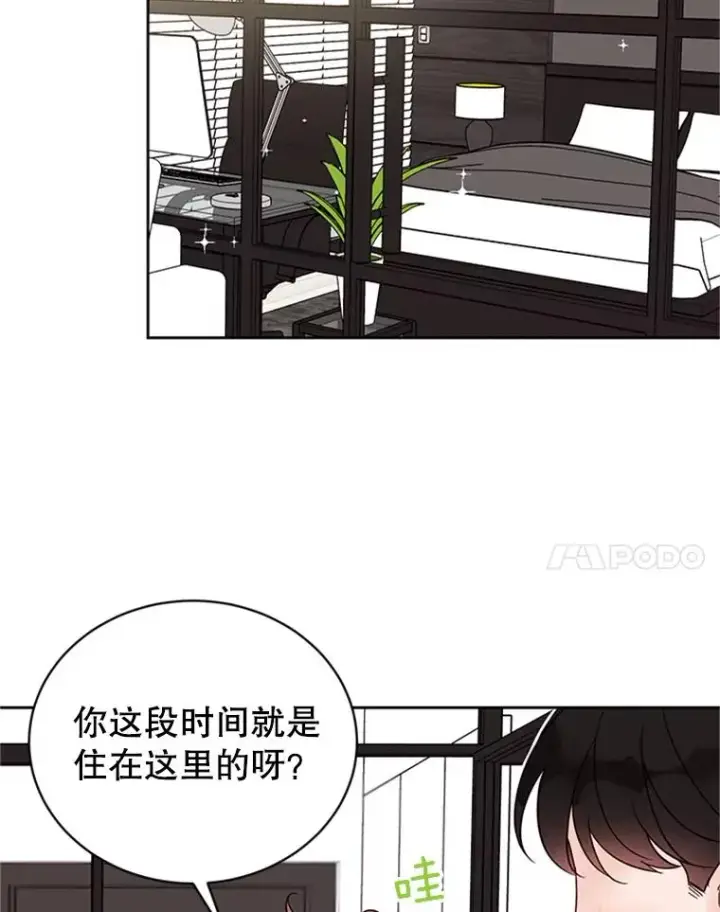 《丈夫候选人》49.公寓密谈图11