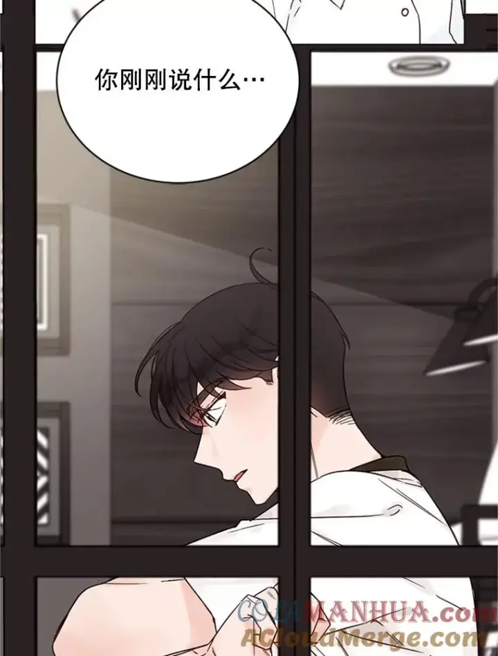 《丈夫候选人》49.公寓密谈图16