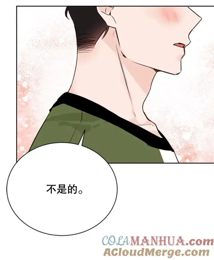 《丈夫候选人》49.公寓密谈图40
