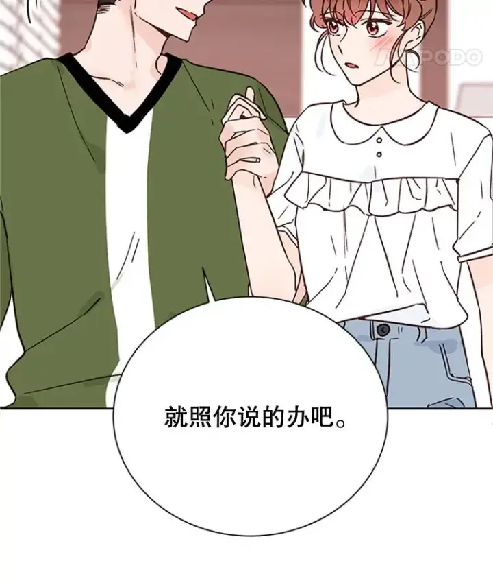 《丈夫候选人》49.公寓密谈图45