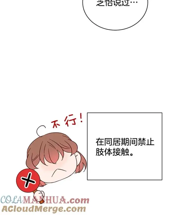 《丈夫候选人》49.公寓密谈图70