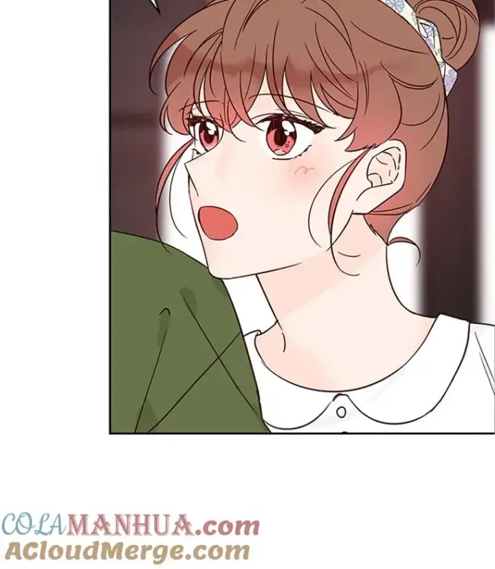 《丈夫候选人》49.公寓密谈图76