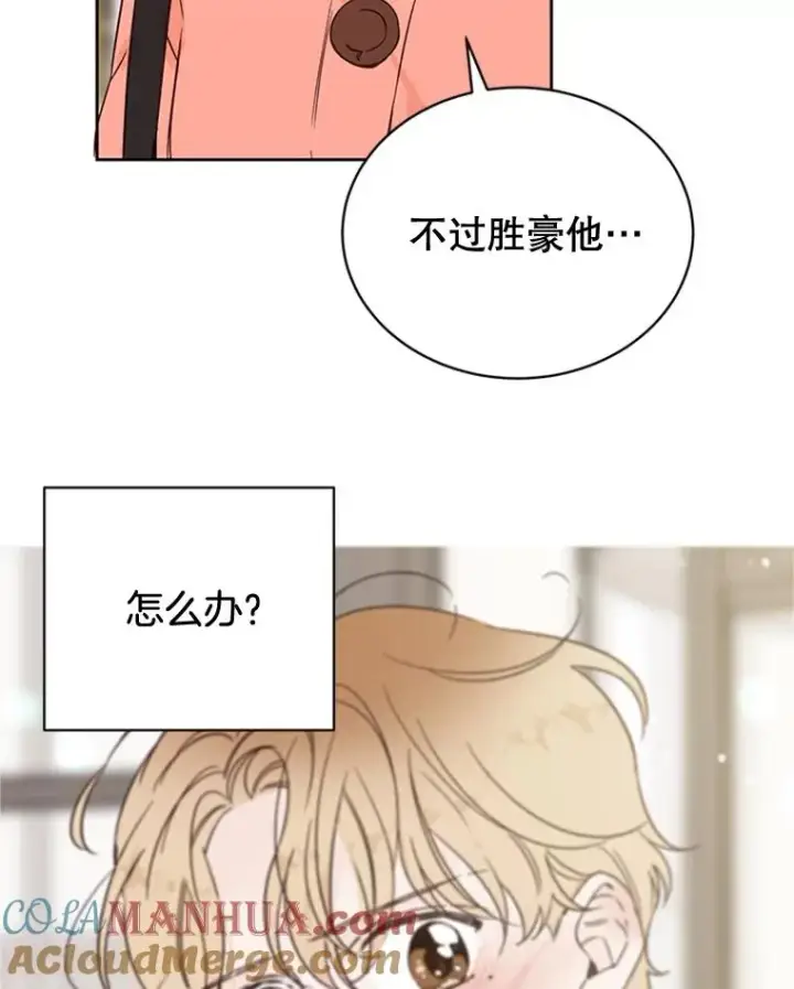 漫画《丈夫候选人》52.有人失恋了第49张图