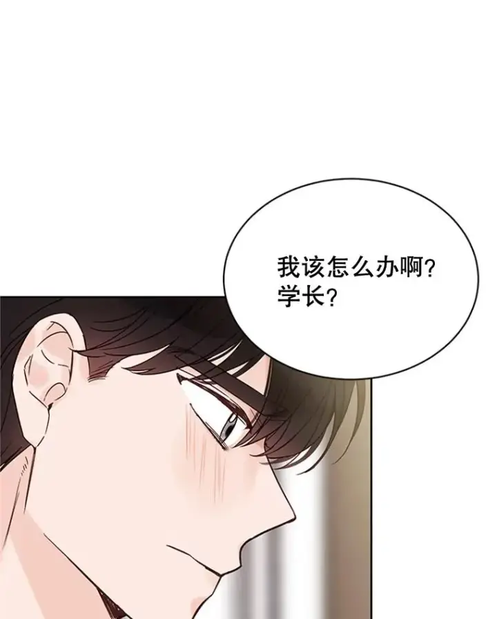 漫画《丈夫候选人》52.有人失恋了第51张图