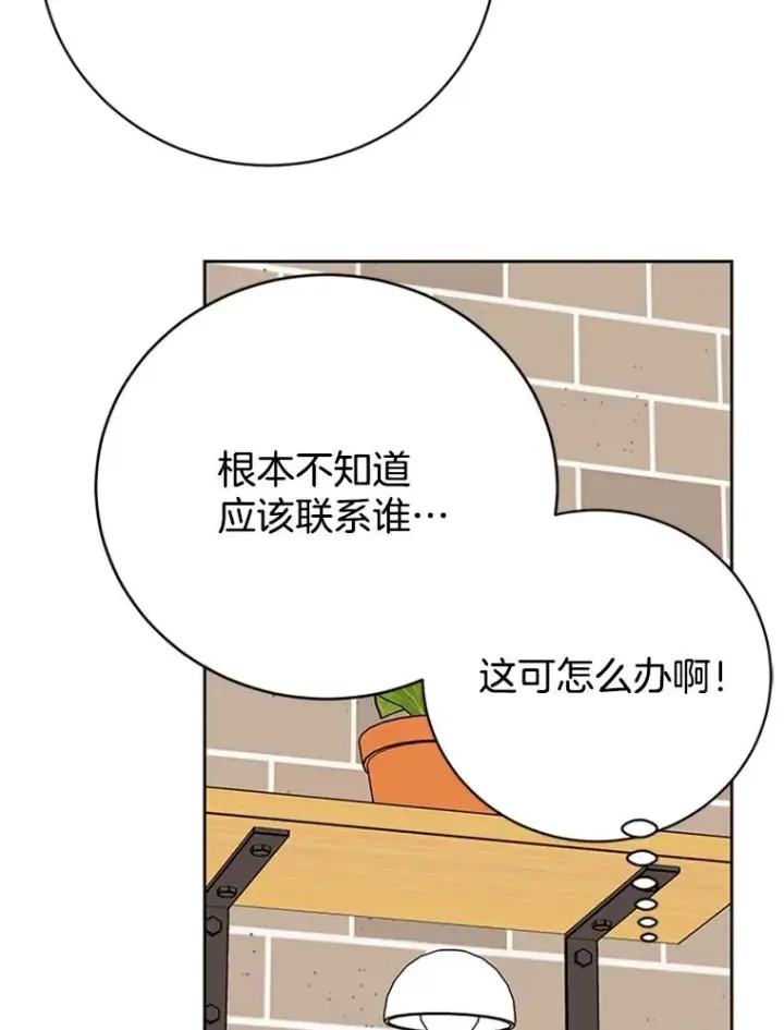 《丈夫候选人》53.寻找周胜豪图63