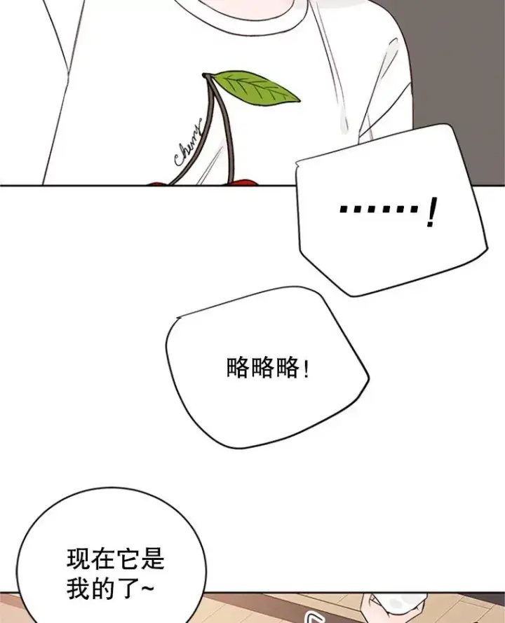 《丈夫候选人》57.两大家族的恩怨图66