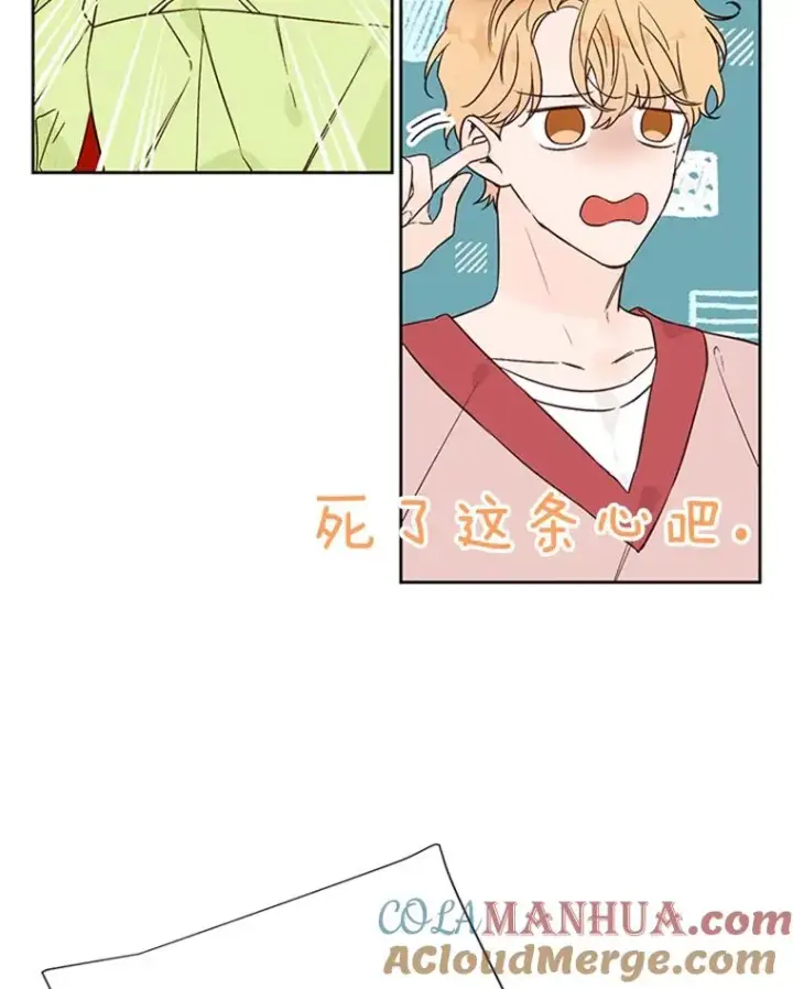 《丈夫候选人》59.理由图79