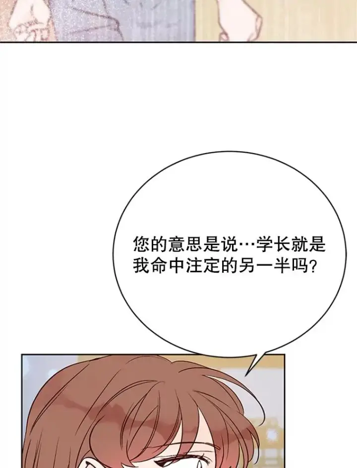 《丈夫候选人》66.圆满结束图19