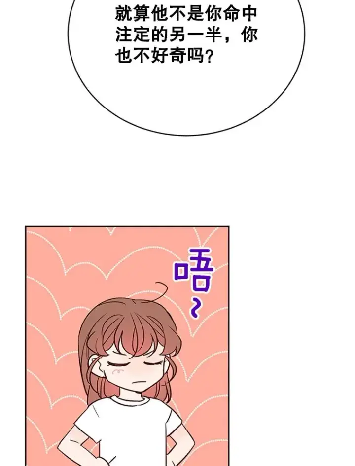 《丈夫候选人》66.圆满结束图28