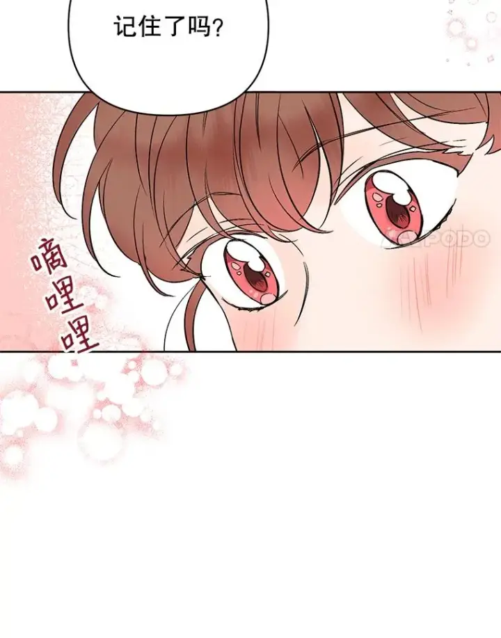 《丈夫候选人》外传3.准备公开图38