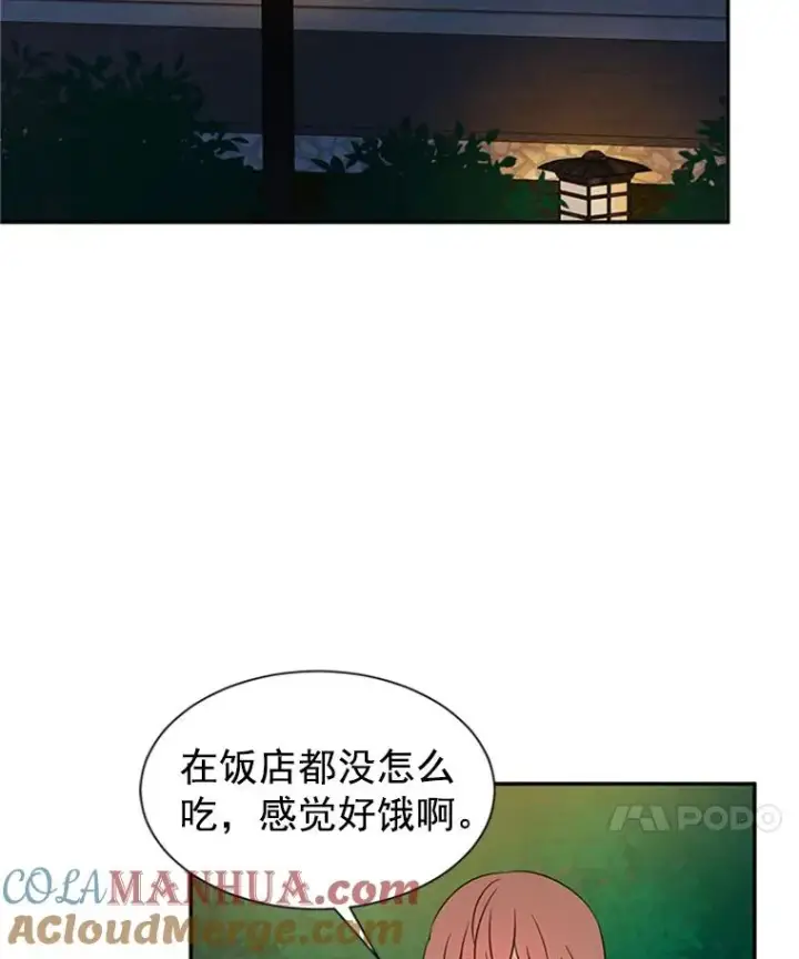 《丈夫候选人》9.奇怪的梦图52