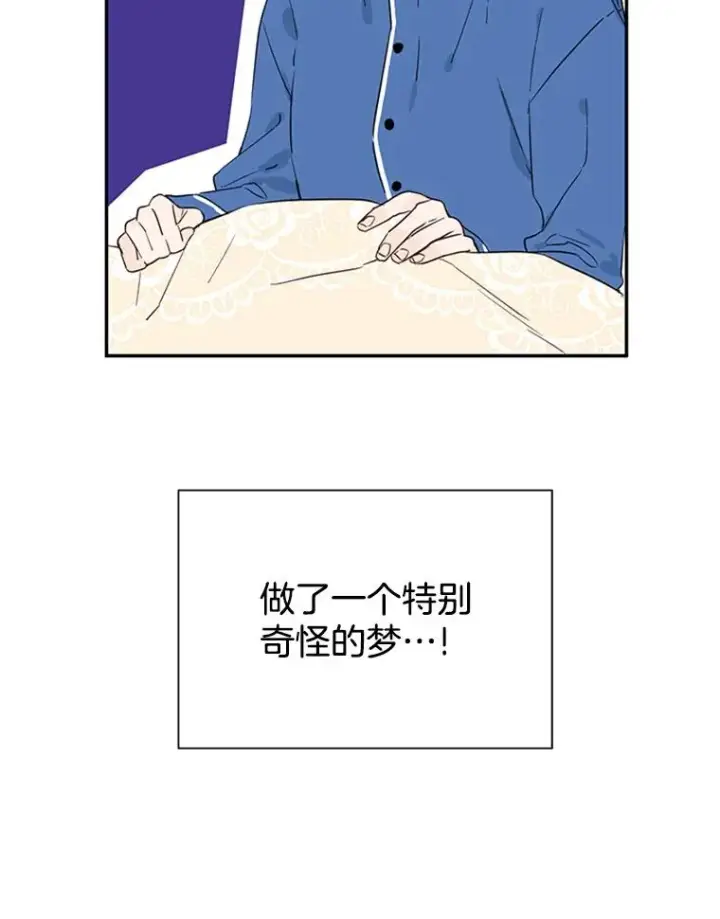 《丈夫候选人》9.奇怪的梦图95