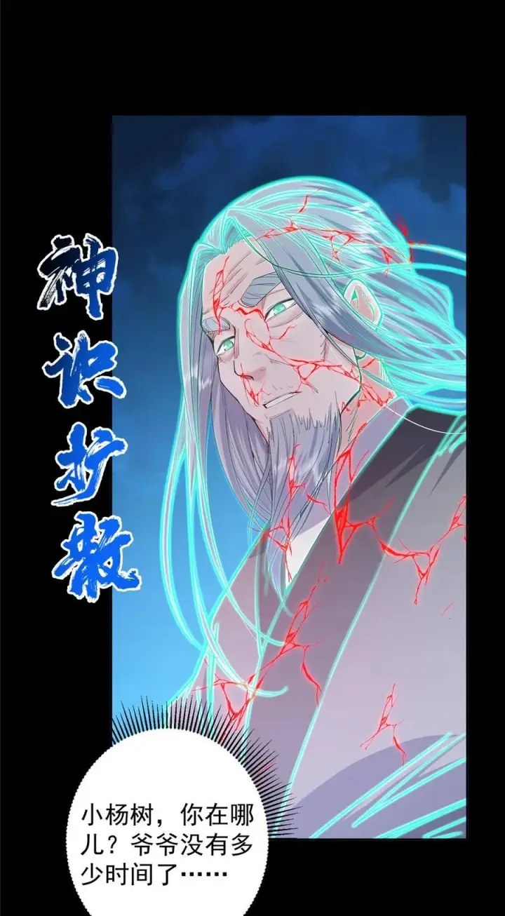 漫画《掌门低调点》358 此生唯一的牵挂第26张图