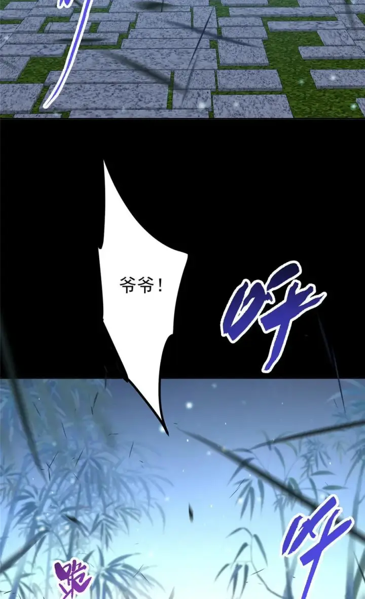 漫画《掌门低调点》358 此生唯一的牵挂第38张图
