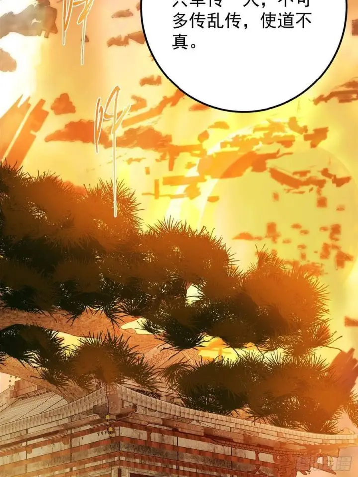 漫画《掌门低调点》524 这术法你就拿着吧！第41张图