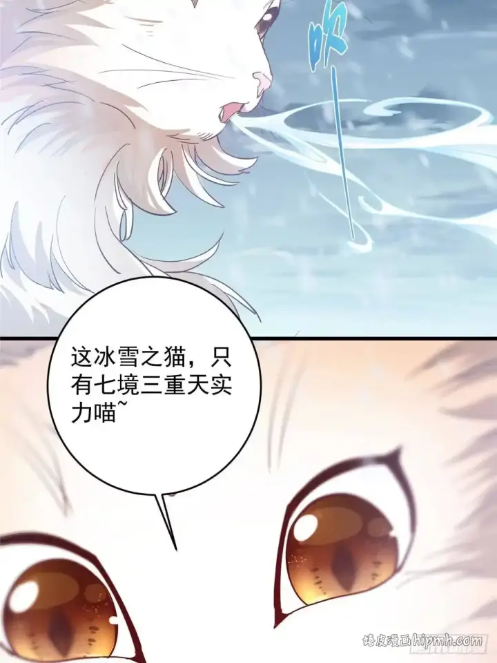 漫画《掌门低调点》588 好可爱镇山神兽第61张图