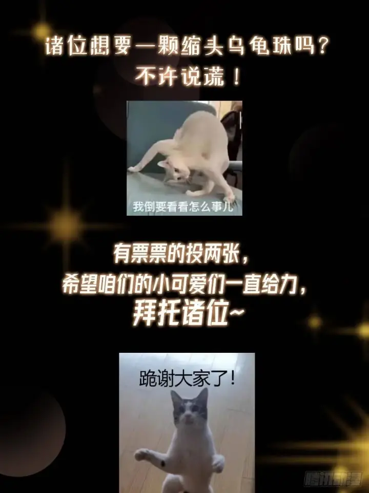 漫画《掌门低调点》557 缩头乌龟专属法宝第82张图