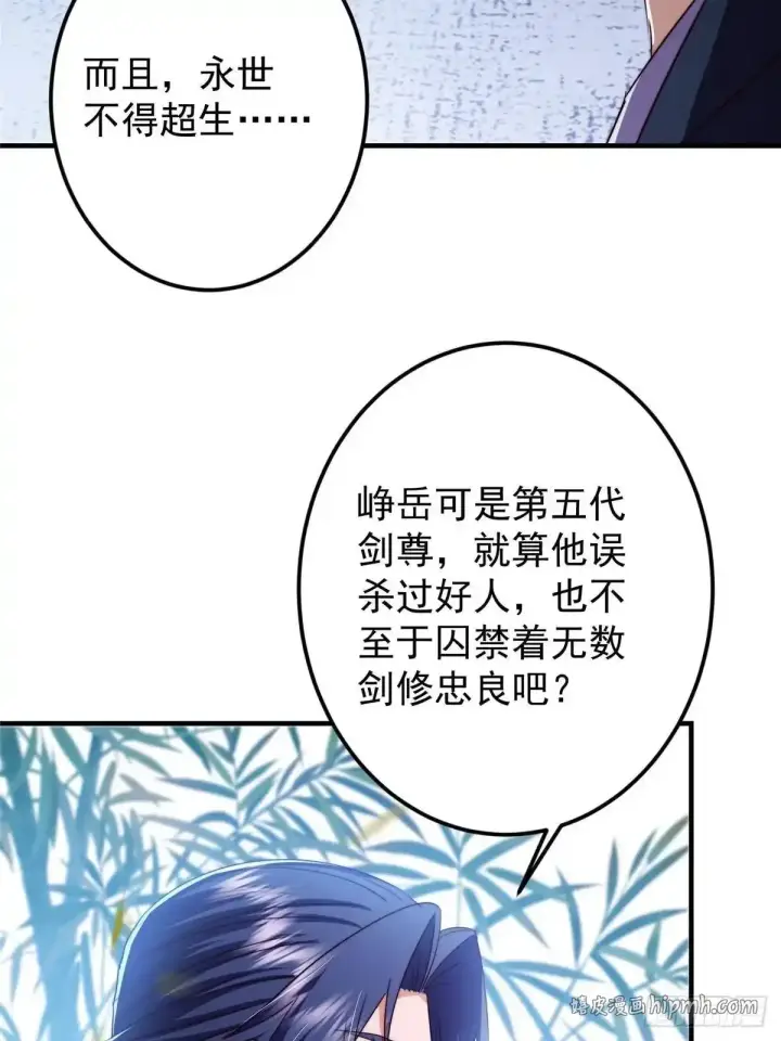 《掌门低调点》581 杀死峥岳的密谋图41