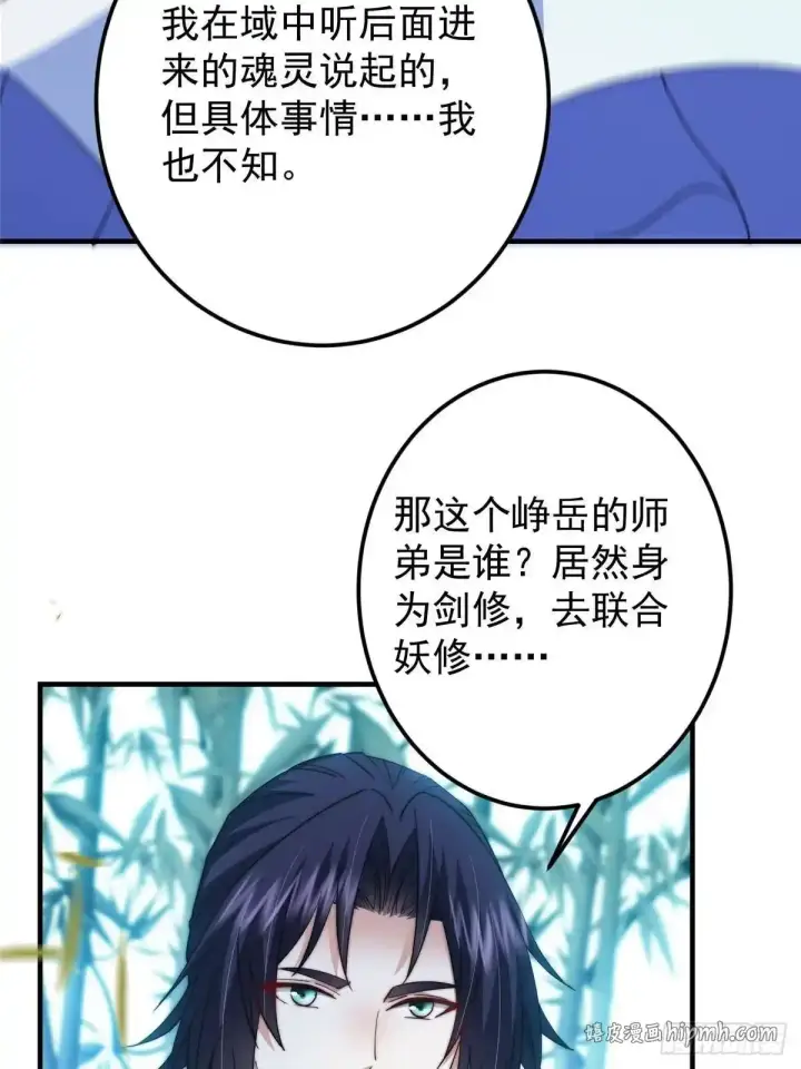 《掌门低调点》581 杀死峥岳的密谋图66