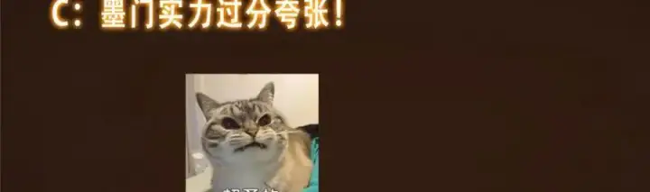 漫画《掌门低调点》297 你是不是走火入魔了？第135张图