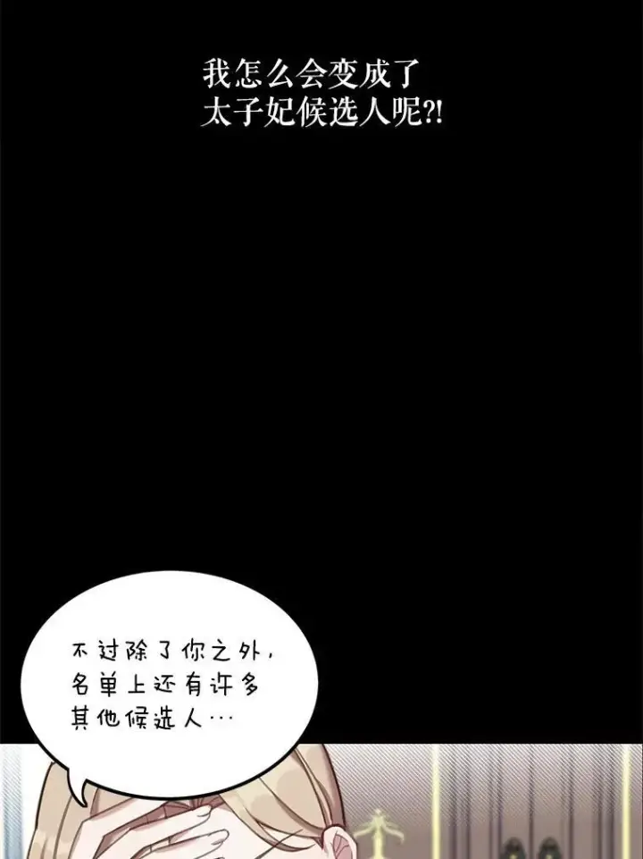《这个男主归我了》2.太子妃候选人图24