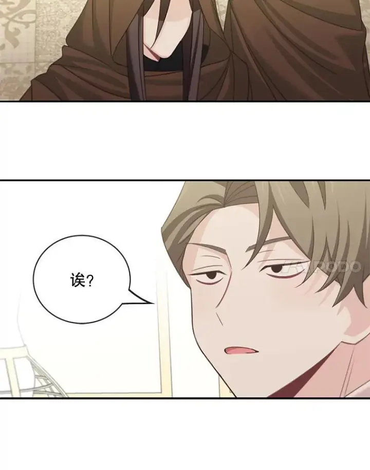《这个男主归我了》25.抵达皇都图72