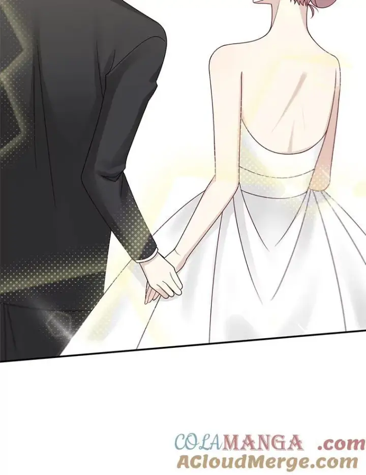 漫画《这个男主归我了》46.喜结连理第85张图