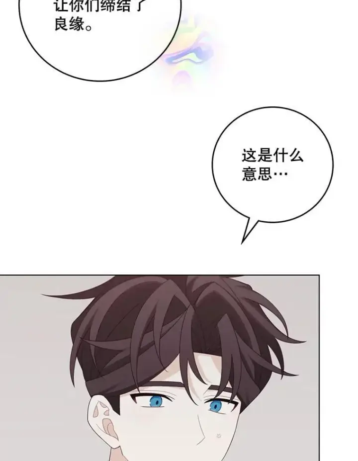 《这个男主归我了》50.占卜图44