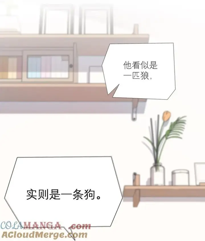 漫画《折月亮》012 实则是一条狗第15张图