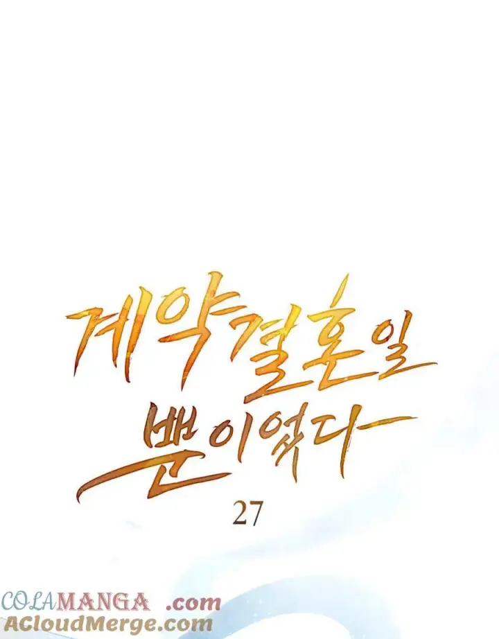 《只是契约婚姻而已》第27话图25