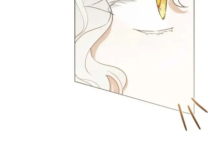漫画《只是契约婚姻而已》第04话第63张图