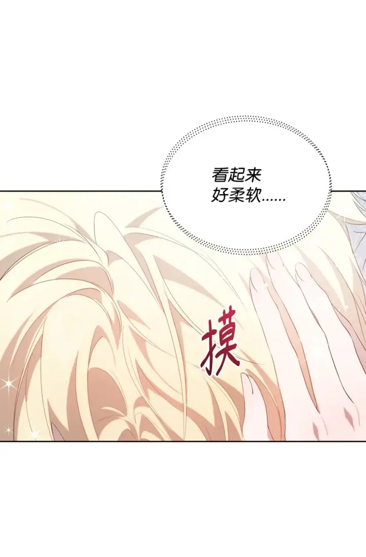 漫画《重生，逆转悲惨命运的莉莉安》33 婚前协议第64张图