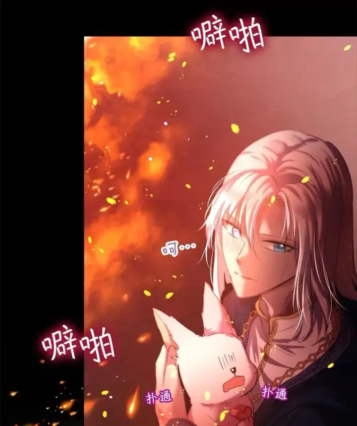《重生为神兽宝宝》43.两条尾巴图96