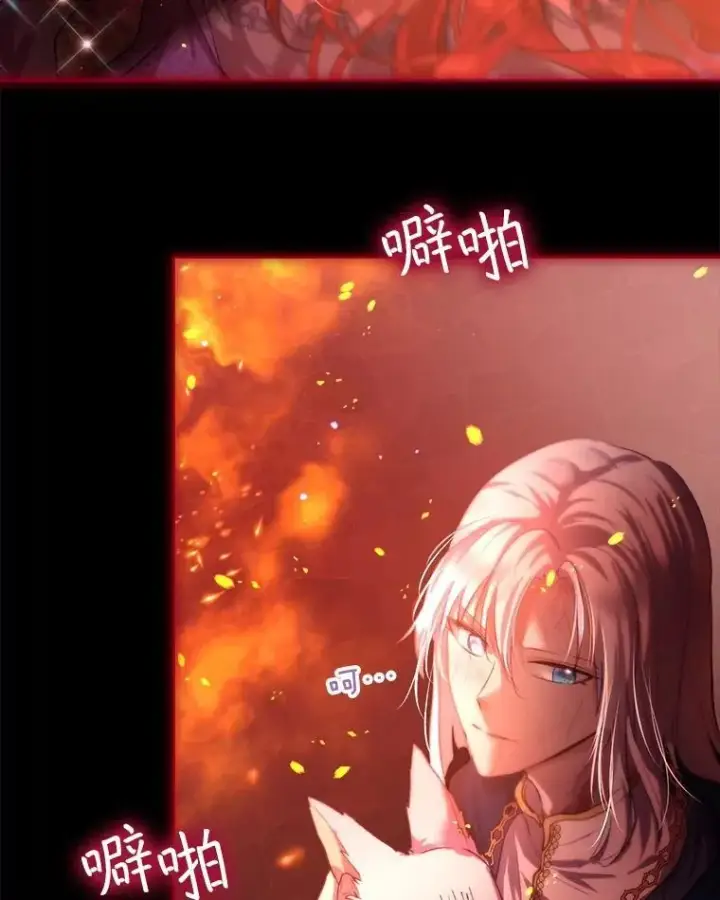 《重生为神兽宝宝》44.灭火图3
