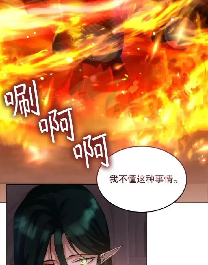 《重生为神兽宝宝》44.灭火图30