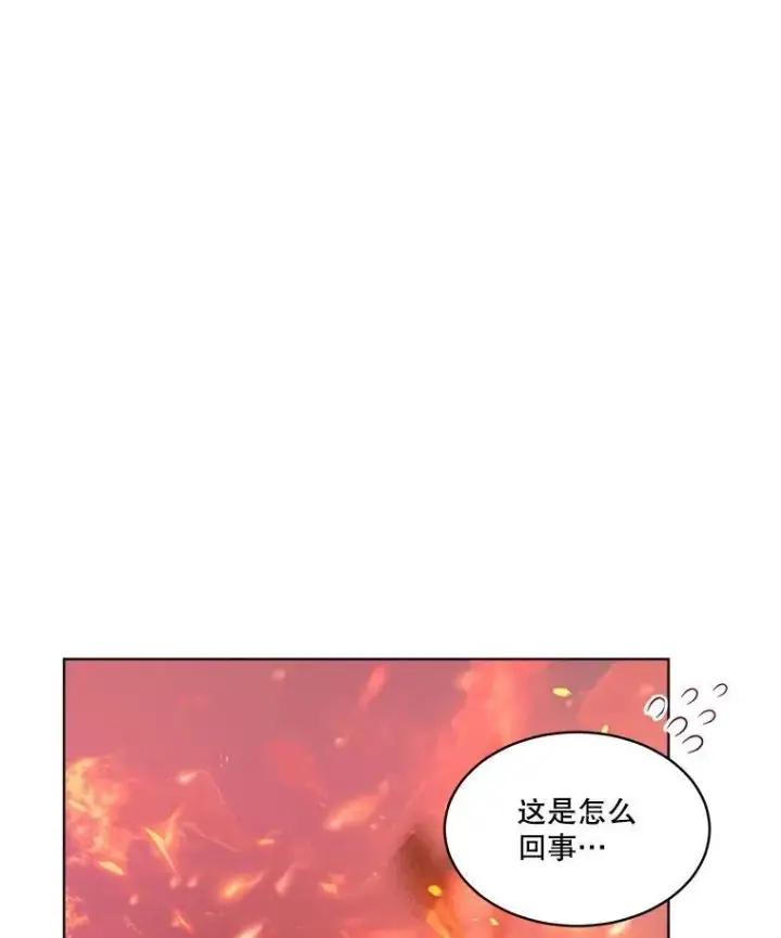 《重生为神兽宝宝》44.灭火图76