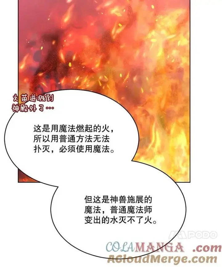 《重生为神兽宝宝》44.灭火图77