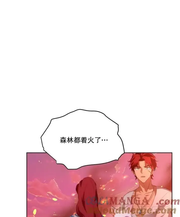《重生为神兽宝宝》44.灭火图85