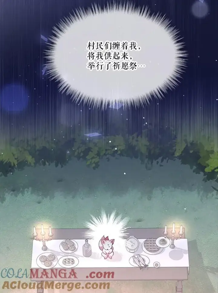 《重生为神兽宝宝》45.归还项链图13