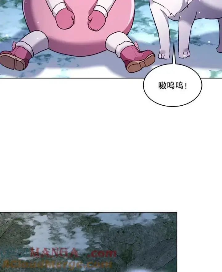 《重生为神兽宝宝》51.抓银狐图105