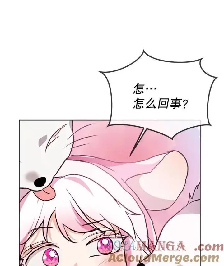 《重生为神兽宝宝》51.抓银狐图93